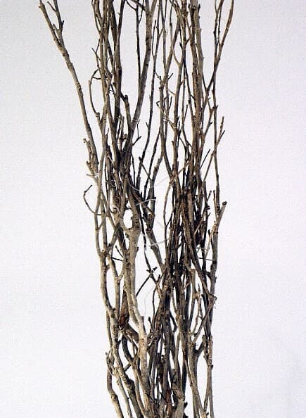 40" Natural Tea Tree/3PC/Twigs/Branches/Centerpiece decor/Winter wonderland/Decoration Branches/Gold Branches/Silver Branches