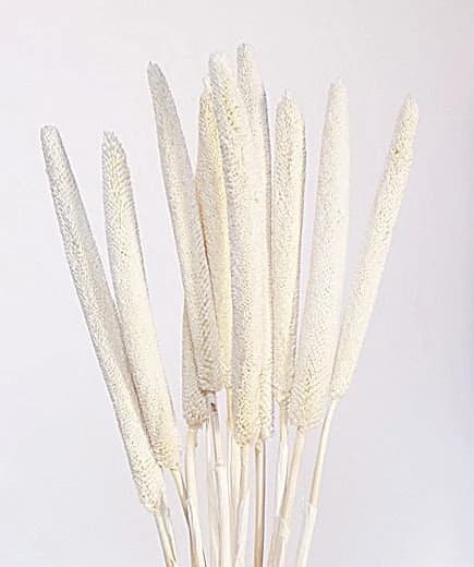 28" White Babala on Sticks/Branches/Centerpiece decor/ Winter wonderland/Decoration Branches/Gold Branches/Home Decor