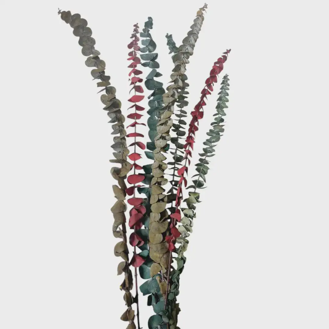 Preserved Small Eucalyptus/Sprays/Faux Spray/Holiday Decor/Fall Decor/Table Decor/Home Decor/Holiday Decor/Indoor Decor/Bleached Eucalyptus