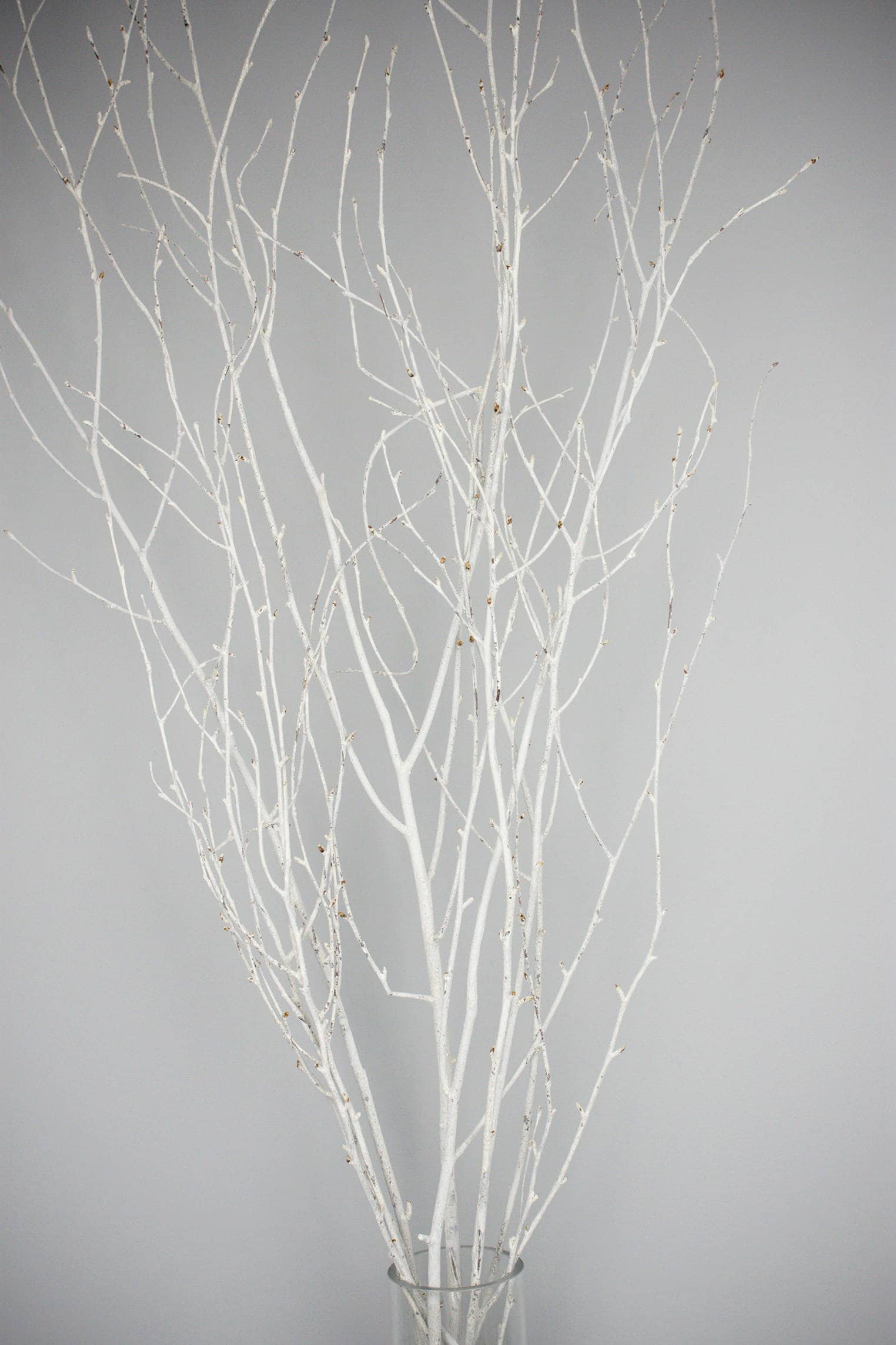 WHITE PAINTED BRANCHES/Curly Twigs/Branches/Centerpiece decor/ Decoration Branches/Gold Branches/White Birch Branches