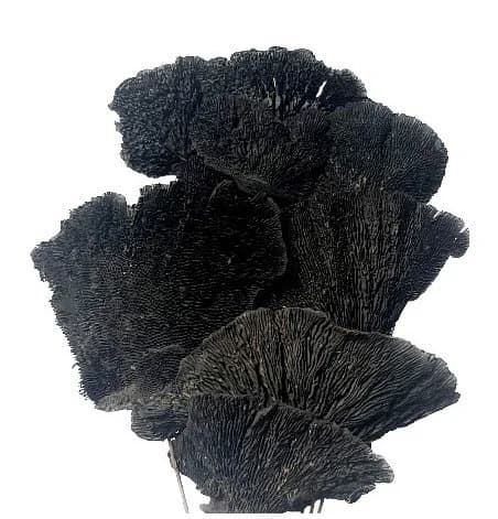 7PC Black Sponge Mushroom/Curly Twigs/Branches/Centerpiece decor/Decoration Branches/Gold Branches/Glitter Branches/Silver Branches