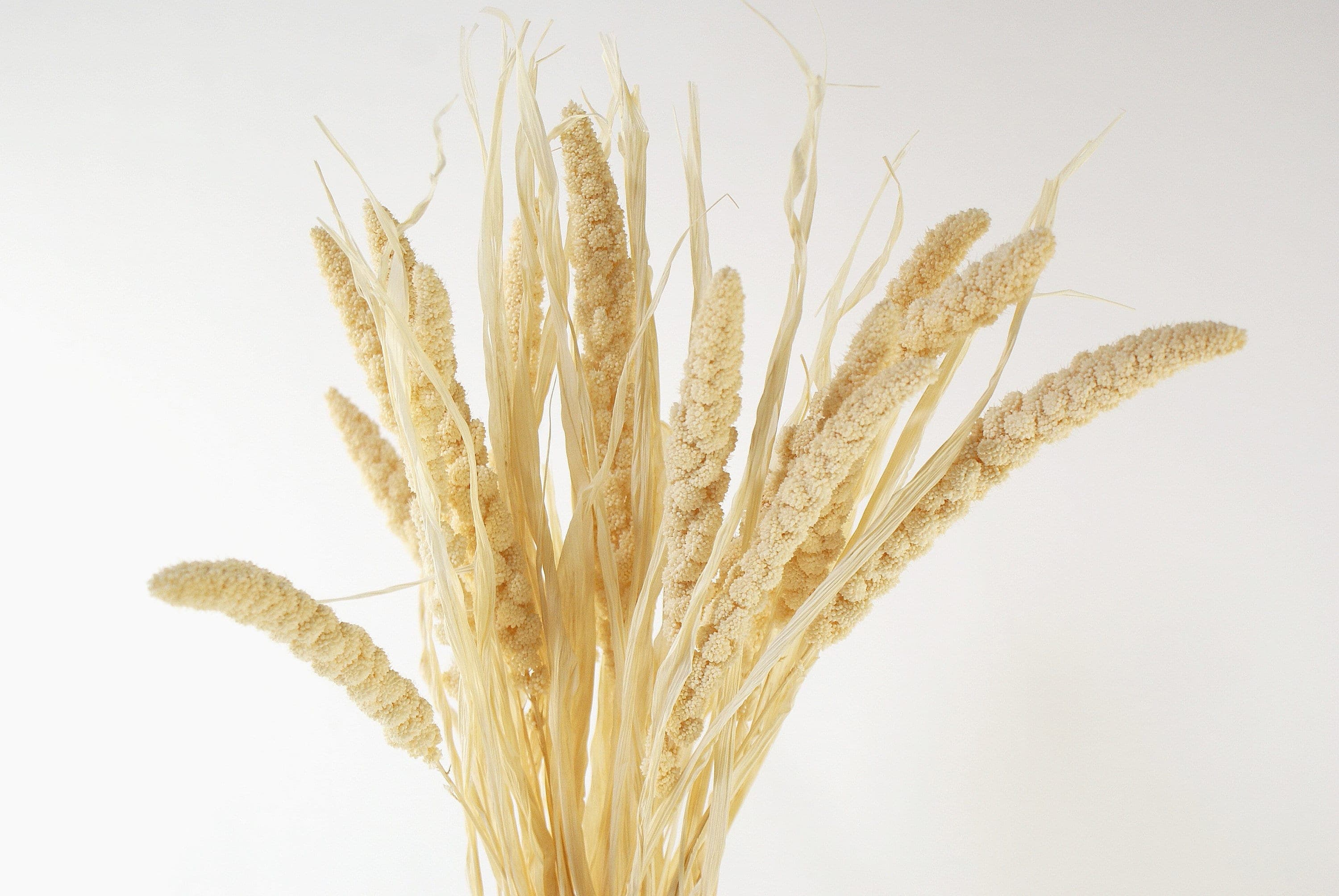 28" Bleached Setaria/Dried Floral/Branches/Centerpiece decor/ Decoration Branches/Gold Branches/Glitter Branches/Silver Branches