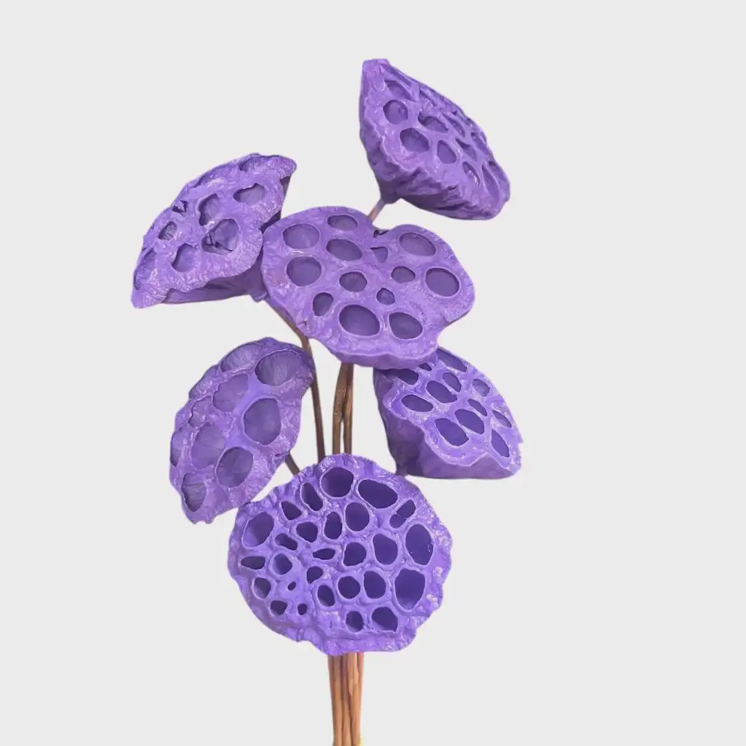 NEW Large Waterproof Lotus Pods/Curly Twigs/Branches/Centerpiece decor/ Decoration Branches/Gold Branches/Glitter Branches/Silver Branches