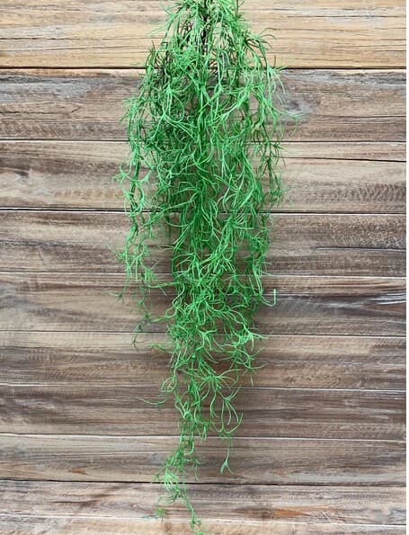 36" Watergrass Hanging Spray/Christmas Decor/Christmas Decor Idea/Christmas Decoration/Holiday Decoration/Table Decor/Holly Bush