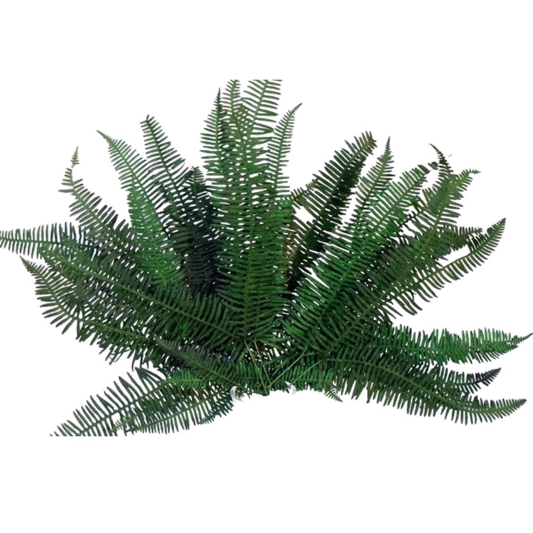 16" Preserved Green Mountain Fern/ Green/Yellow/Burnt Orange/Branches/Centerpiece decor/Winter/Decoration Branches/Branches/Glitter Branches