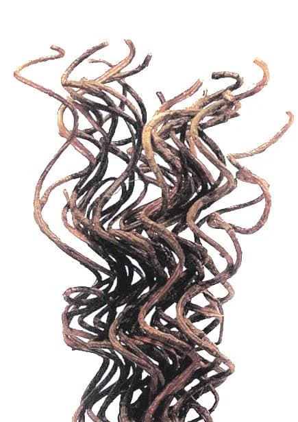 20" Natural Curly Vine/Curly Twigs/Branches/Centerpiece decor/Decoration Branches/Gold Branches/Glitter Branches/Silver Branches