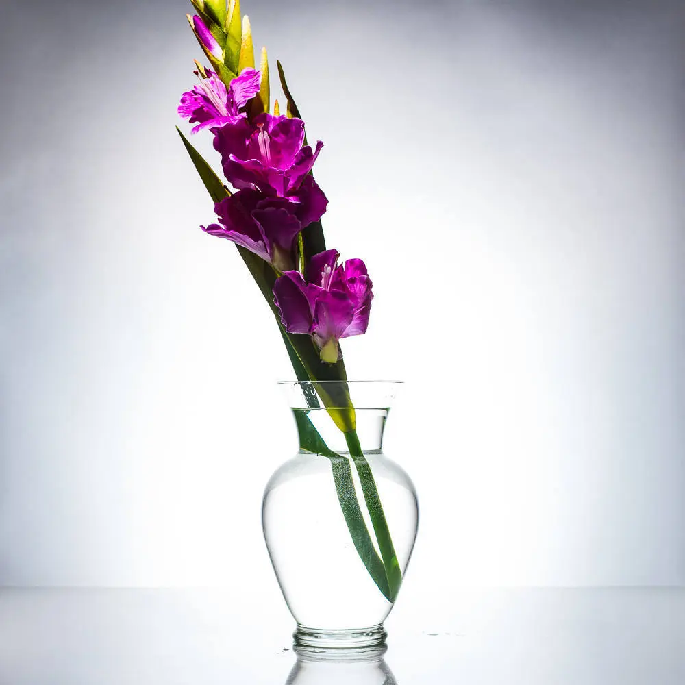 Gladiolus Flower Orchids/Orange/Purple/Pink/White/Wedding Centerpieces/Home Decor/Faux Flowers/Silk Flowers/Flower Bouquet