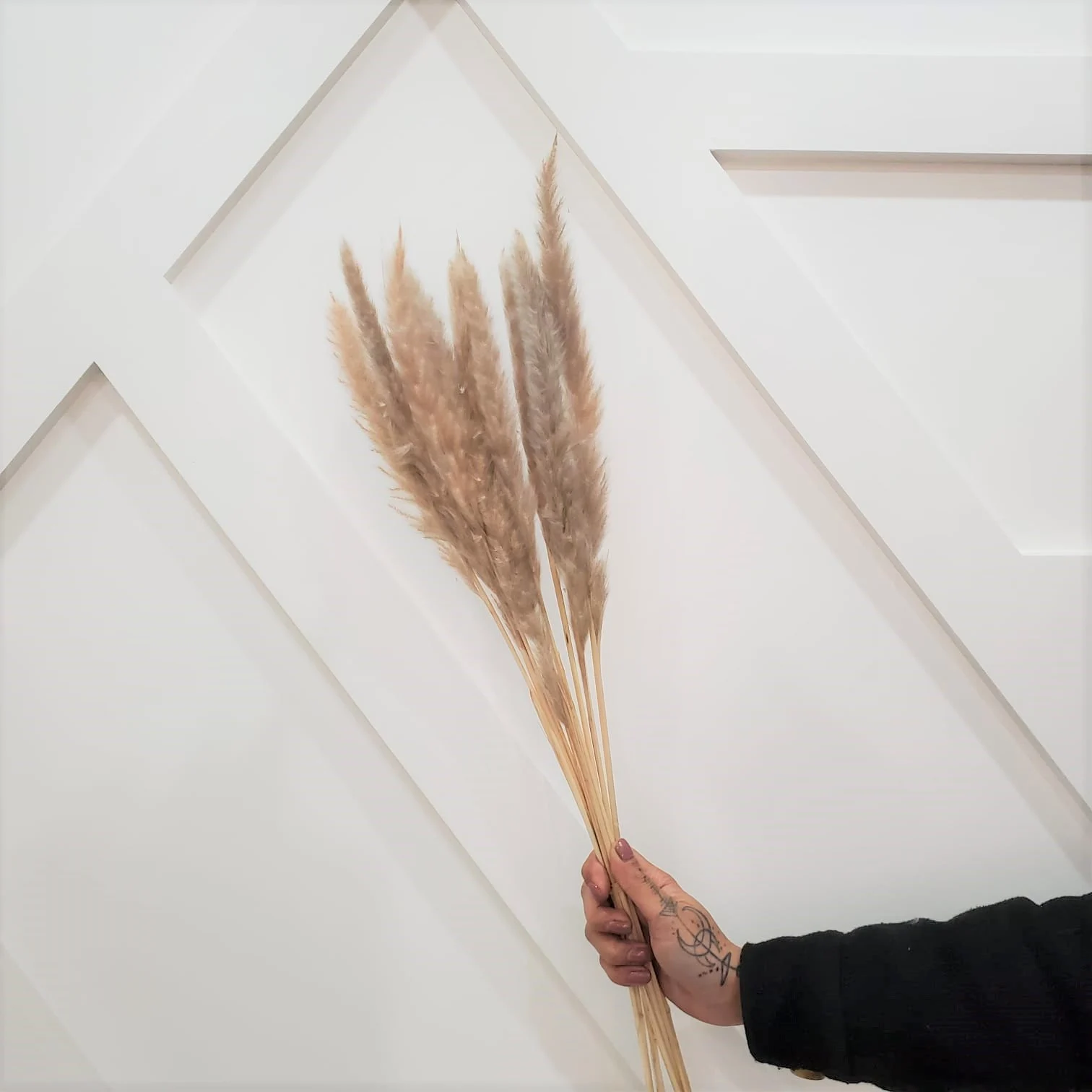 10pc MINI 30" TAN Pampas /NATURAL pampas Grass/Assorted Sizes/Home Decor/Wedding Decor/Dusty Blue Wedding/Mini Pampas/Wedding Decor