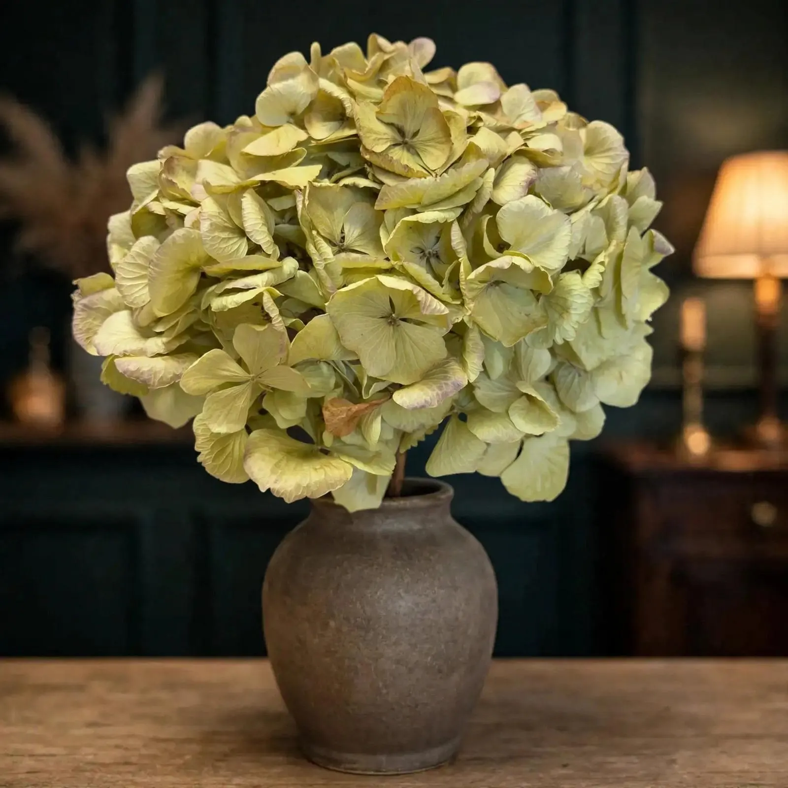 Hydrangea Natural 6 Inch | Single Stem | Dried Flowers for Arrangements