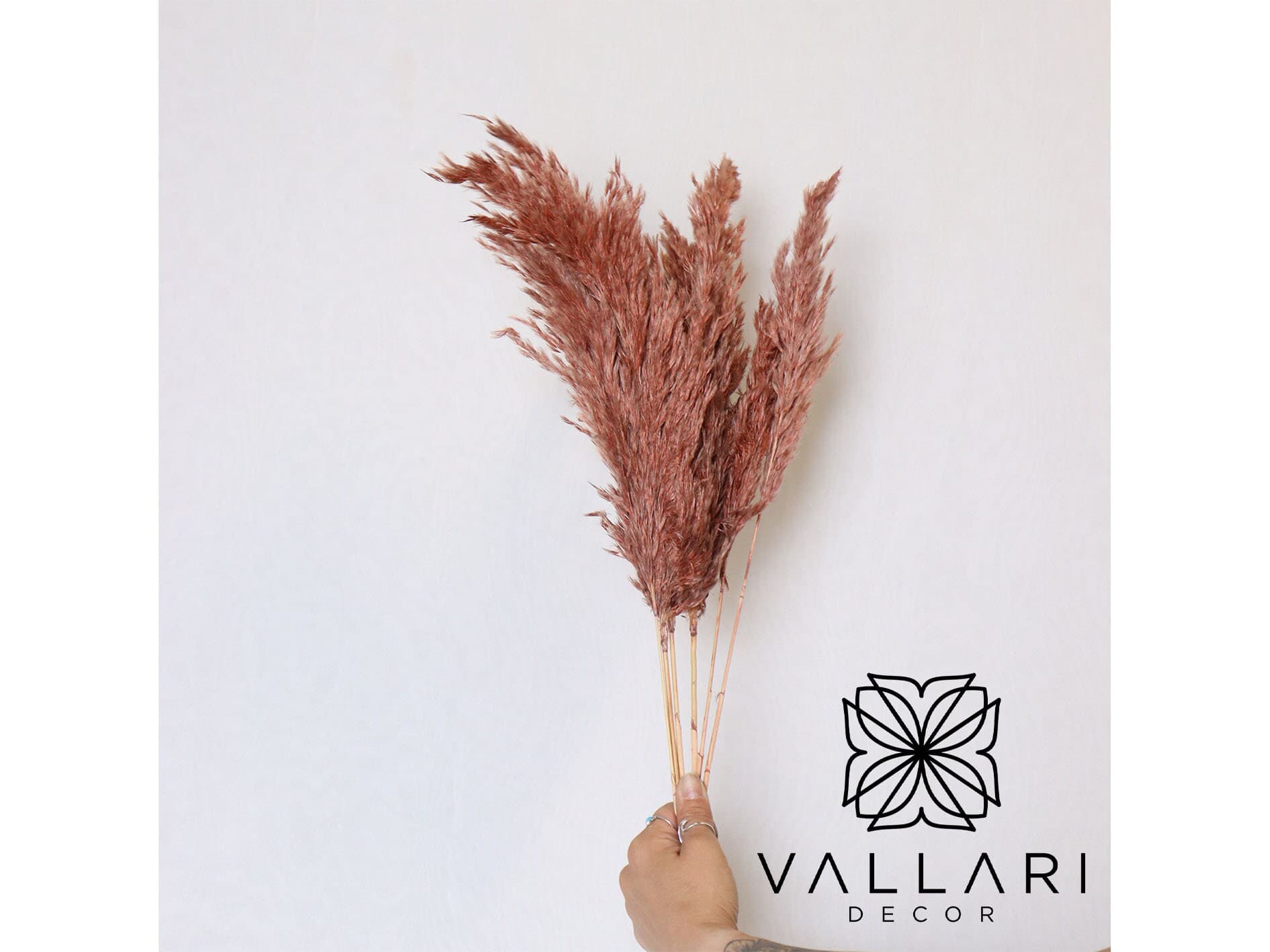 6PC 30" Dark Rose Pampas Grass/Bundle/Home/Rustic Wedding Decor/Brown Pampas/Ivory Pampas/Natural Pampas/2.5ft Long Pampas