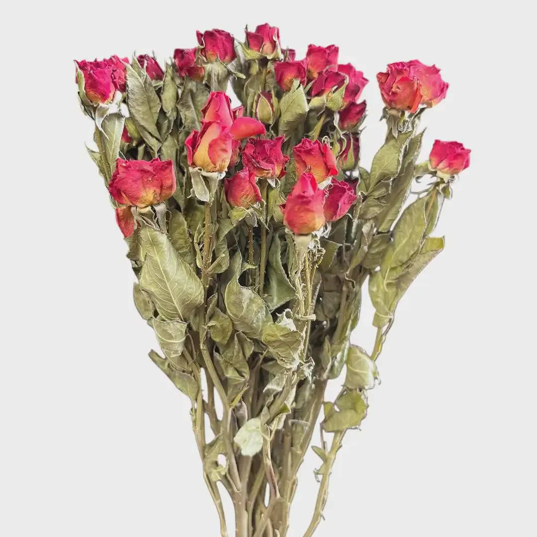 18" Red Spray Roses/Faux Flower/Roses/Orchids/spray/bush/roses