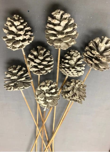 Snow White Pine Cones On Sticks 8pc/Cones/Pine Cones /Rustic Decor Ideas, Rustic Bawl Filler, Wicker Decoration,  Rustic Table Decor