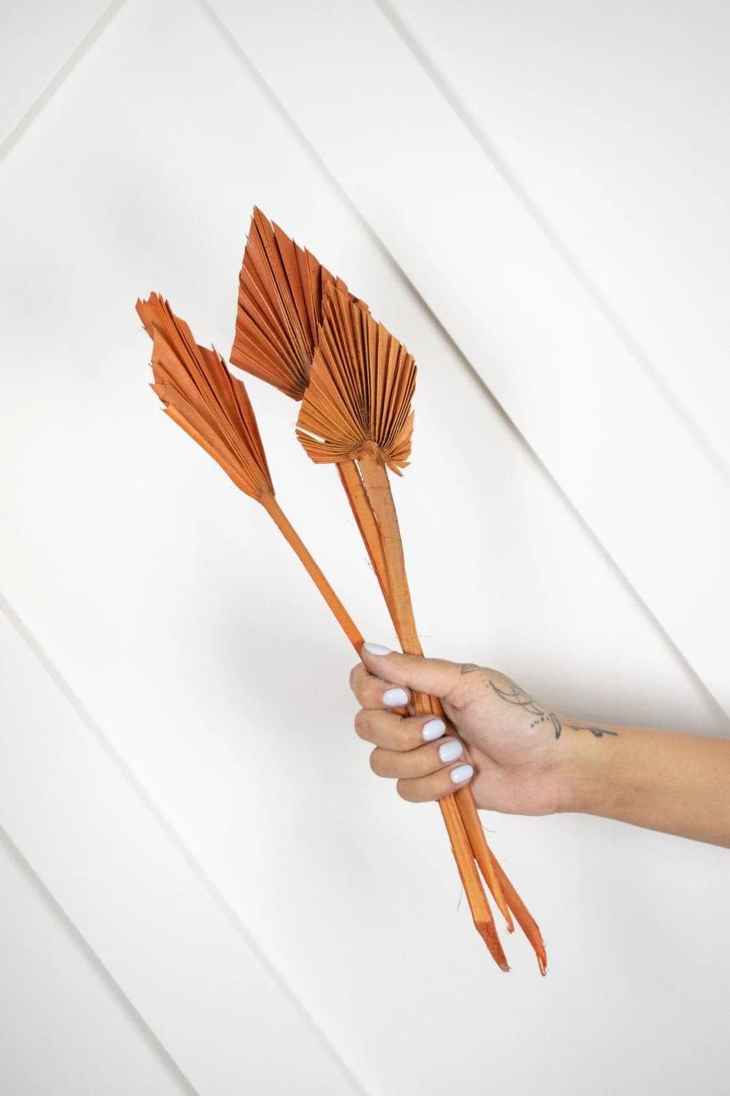 1-6pc Micro Burnt Orange PALM SPEARS/Black/Natural/Purple dried palm/ Home Decor/Wedding Decor/Dried Florals/Dried Floral Arrangement/Boho