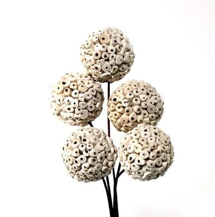 5PC Large White Cork Sola Balls On Sticks/Wedding Centerpieces/Home Decor/Faux Flowers/Silk Flowers/Spring Wedding/Summer Wedding/Rustic