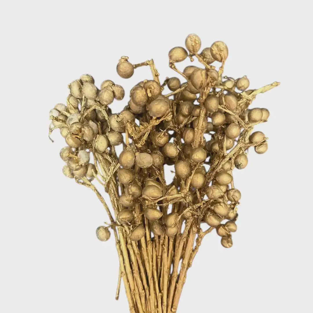 6" Tallow Berries /Dried/Fall/Thanksgiving/Table Setting/Home Decor/Faux Decor/Decoration/Fall Season/Indoor Decor/Bleached
