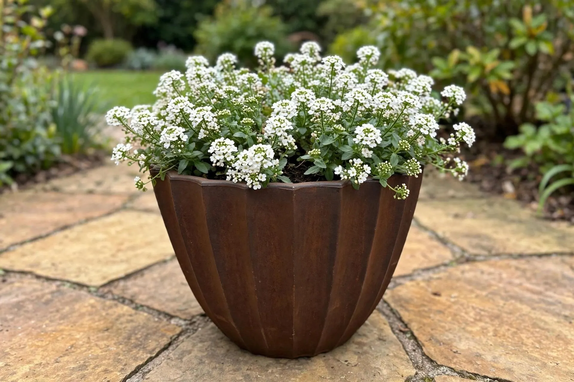 Eco Plastic Scalloped Pot Rust 16x14 Inch | Fluted Bowl Planter Wavy Rim | Garden Pot
