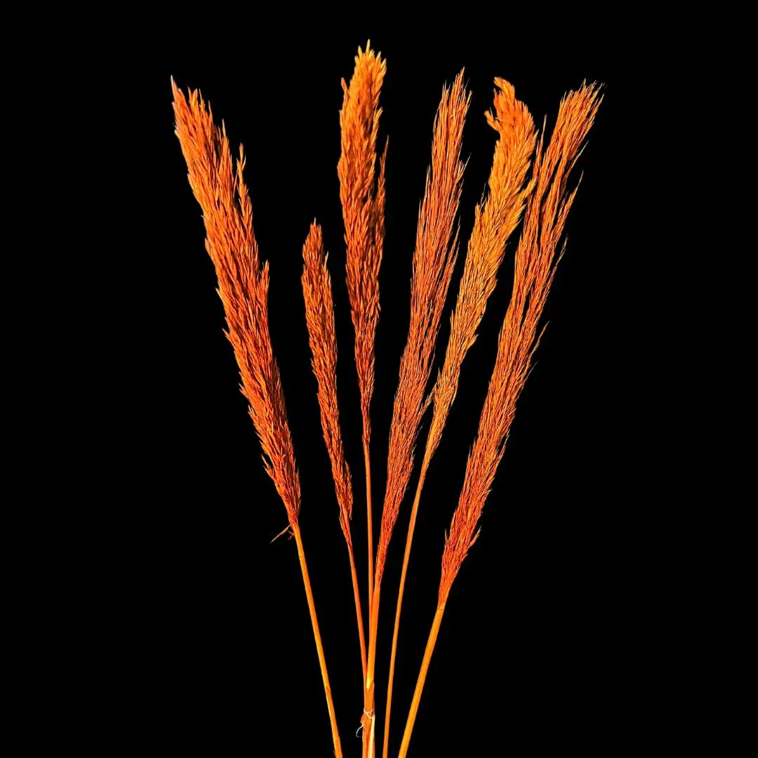 35" Orange Nana Grass/Branches/Centerpiece decor/ Winter wonderland/Decoration Branches/Gold Branches/Home Decor