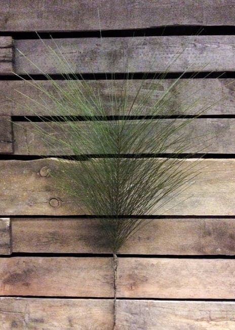 32" Pine Pick/Faux Spray/Autumn Decor/Holiday Decor/Fall Decor/Thanksgiving Decor/Wedding Decor
