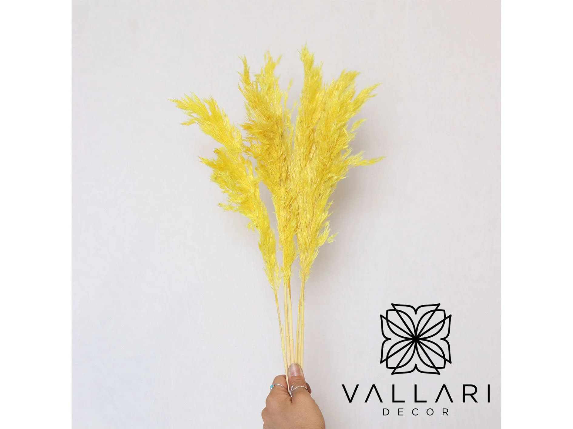 6PC 30" Yellow Pampas Grass/Bundle/Home/Rustic Wedding Decor/Brown Pampas/Ivory Pampas/Natural Pampas/2.5ft Long Pampas