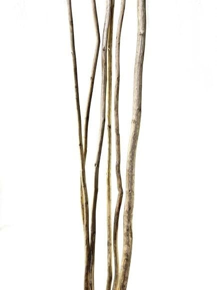60" Kamboi Sticks/Willow Natural Branch/Branches/Centerpiece Decor/ Winter/Decoration Branches/Branches/Twig Branches