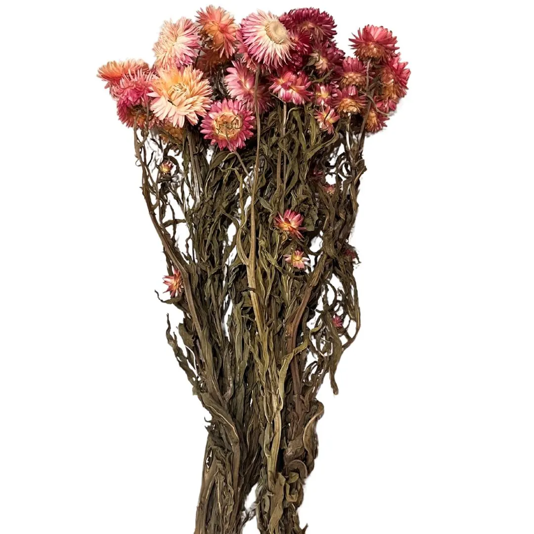18" Orange Helichrysum Stems/ Floral Spray/Florals/ Wedding/ White/Greenery Bushel/ Outdoor Wedding Greenery/Centerpiece Decor/Faux Flowers/