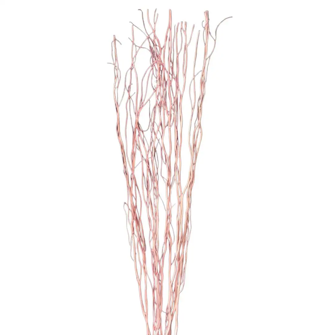 Light Pink Willow Natural Branch/Curly Twigs/Branches/Centerpiece decor/ Winter/Decoration Branches/Branches/ilver Branches