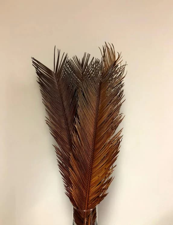 PALM LEAVES/Branches/Centerpiece decor/ Winter wonderland/Decoration Branches/Gold Branches/Silver Branches/ Yellow/ Green/ Brown
