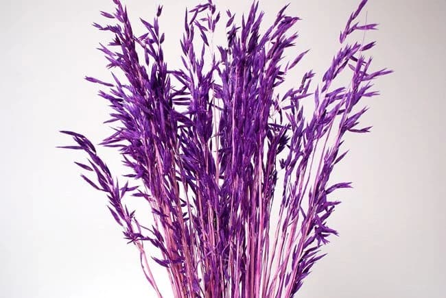 28" Mauve Avena Wild/Fall/Thanksgiving/Table /Home Decor/Faux Decor/Faux Decoration/Fall Season/Indoor Decor/Artificial/Decor