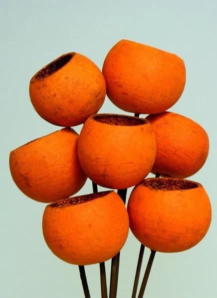 7PC Bell Cups on Sticks/Wicker Balls/Decorative Balls/Rustic Decor/Rustic Bawl Filler/Wicker Decoration/Rustic Table Decor/Fall Decor