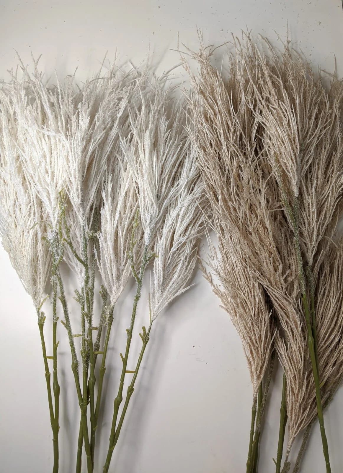 Ivory Pampas x 2ft  Pampas Grass/Pampas Bundle/Home Decor/Rustic Wedding Decor/Brown Pampas/Ivory Pampas/ Natural Pampas