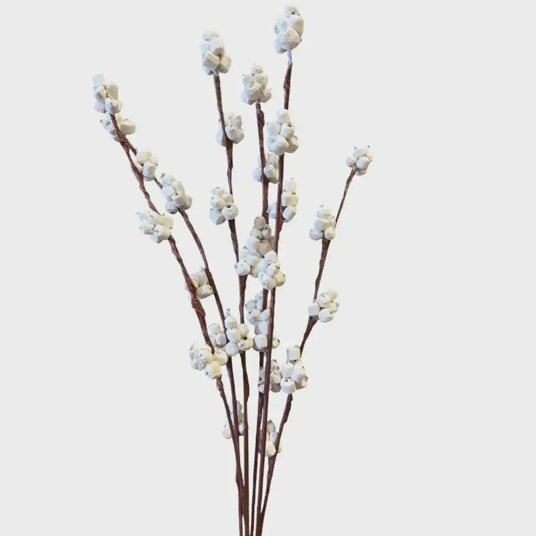 28" Sola Berry Branch 9 Pk White, Natural Sola Wood Berry Stems, Dried Floral Filler, Winter Holiday Wreath Decor, Boho Vase Filler