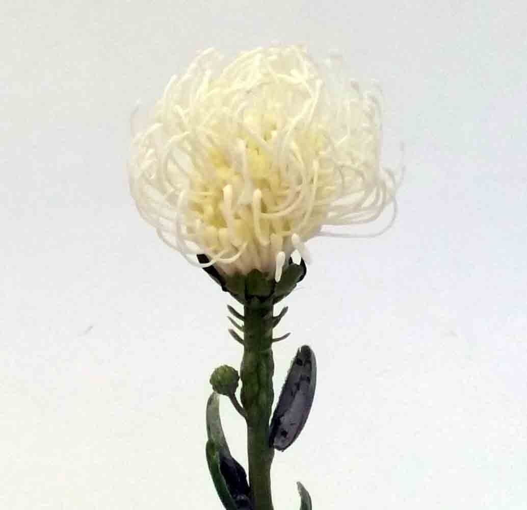 23.5" White Protea/Floral Wedding/Greenery/Wedding Centerpieces/Home Decor/Faux Floral/Spring Wedding/Floral Centrepiece/Table Decor