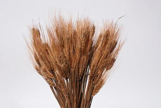 28" Brown Wheat/Yellow/Orange/Green/Natural/Sprays/ Fall Sprays/Centerpiece Decor/Faux Flowers/Silk Flowers/Flower Bouquet