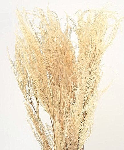 24" Bleached Adiantum Fern/Filler Decor/Faux Filler/Home Decor/Vase Decor/Centerpiece Decor/Faux Flower/Silk Flowers/Flower Bouquet