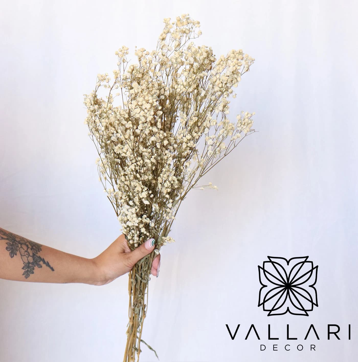 Dried White Gypsophilia/Baby Breaths/Fall/Thanksgiving/Table Setting/Home Decor/Faux Decor/Decoration/Fall Season/Indoor Decor/Bleached