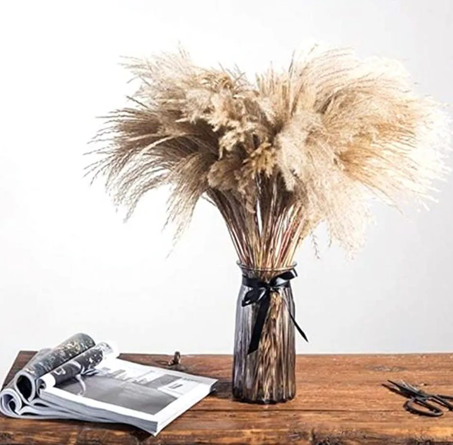 MINI 17" 5-30pc Horsetail Natural Reed Grass Bundle/Pampas Bundle/Home Decor/Rustic Wedding Decor/Brown Pampas/Ivory Pampas/Natural Pampas