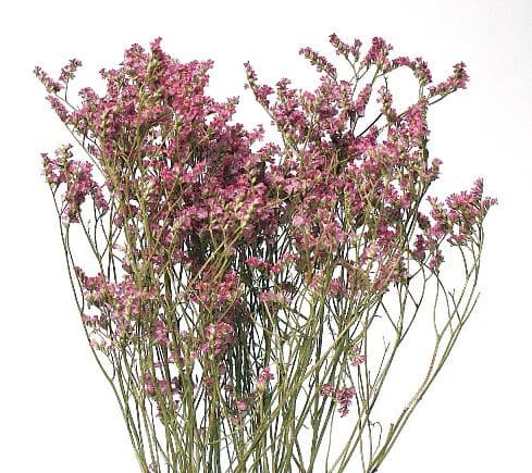 28" Pink Limonium Statice/Fall/Thanksgiving/Table Setting/Home Decor/Faux Decor/Faux Decoration/Fall Season/Indoor Decor/Artificial