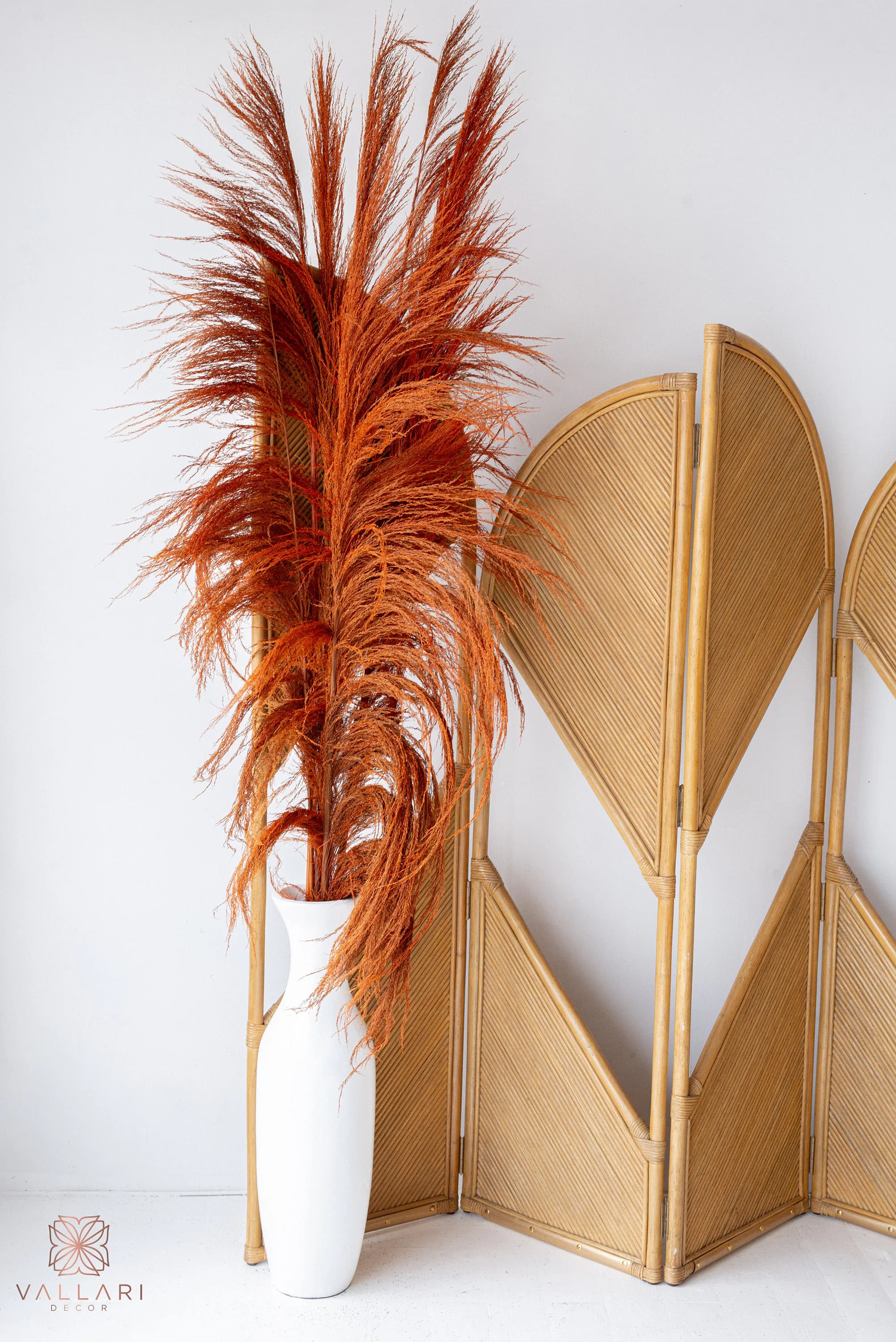 5FT-3 Pc ORANGE UVA STALK/Pampas/Natural Stalk/Natural Branches/Rustic Decor/Home Decoration/Home Decor/Winter Wedding/Wedding Centrepiece