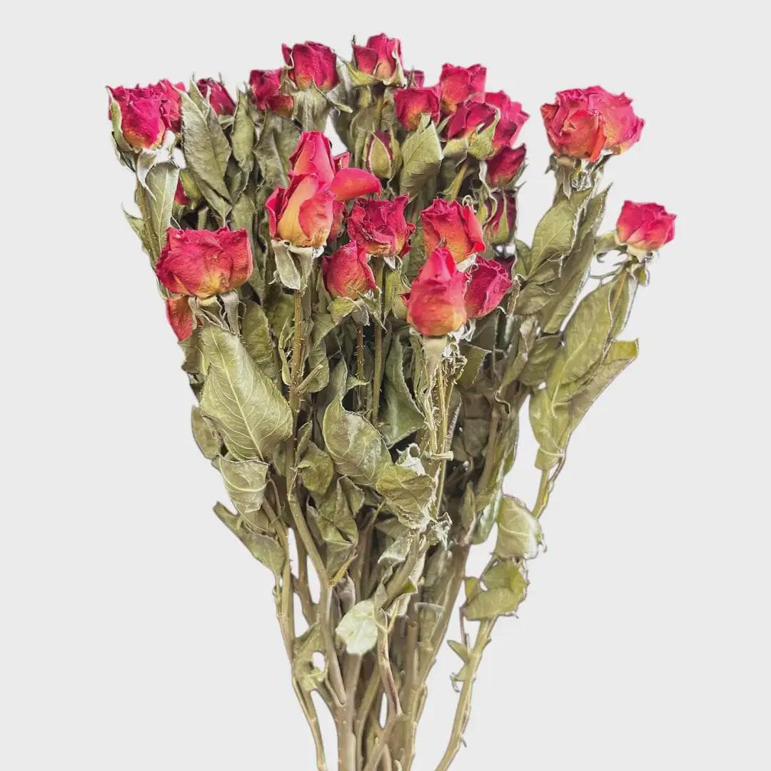5PC Red Spray Roses/Floral Spray/Florals/Wedding Roses/White/Outdoor Wedding Greenery/Centerpiece Decor/Faux Flowers/