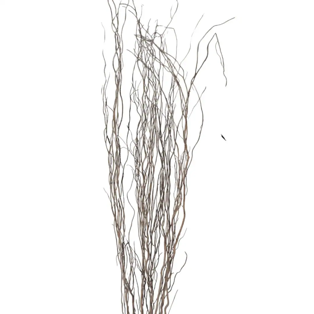 Taupe Willow Natural Branch/Curly Twigs/Branches/Centerpiece decor/ Winter/Decoration Branches/Branches/Glitter Branches/Silver Branches
