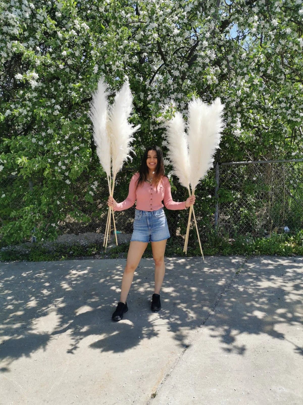 Ivory/ Natural/Golden Pampas 55"& 45" Natural Pampas Grass/Pampas Bundle/Home Decor/Rustic Wedding Decor /Brown Pampas/Fluffy/Boho Chic