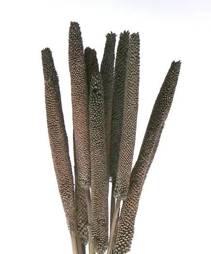 28" Grey Babala on Sticks/Branches/Centerpiece decor/ Winter wonderland/Decoration Branches/Gold Branches/Home Decor