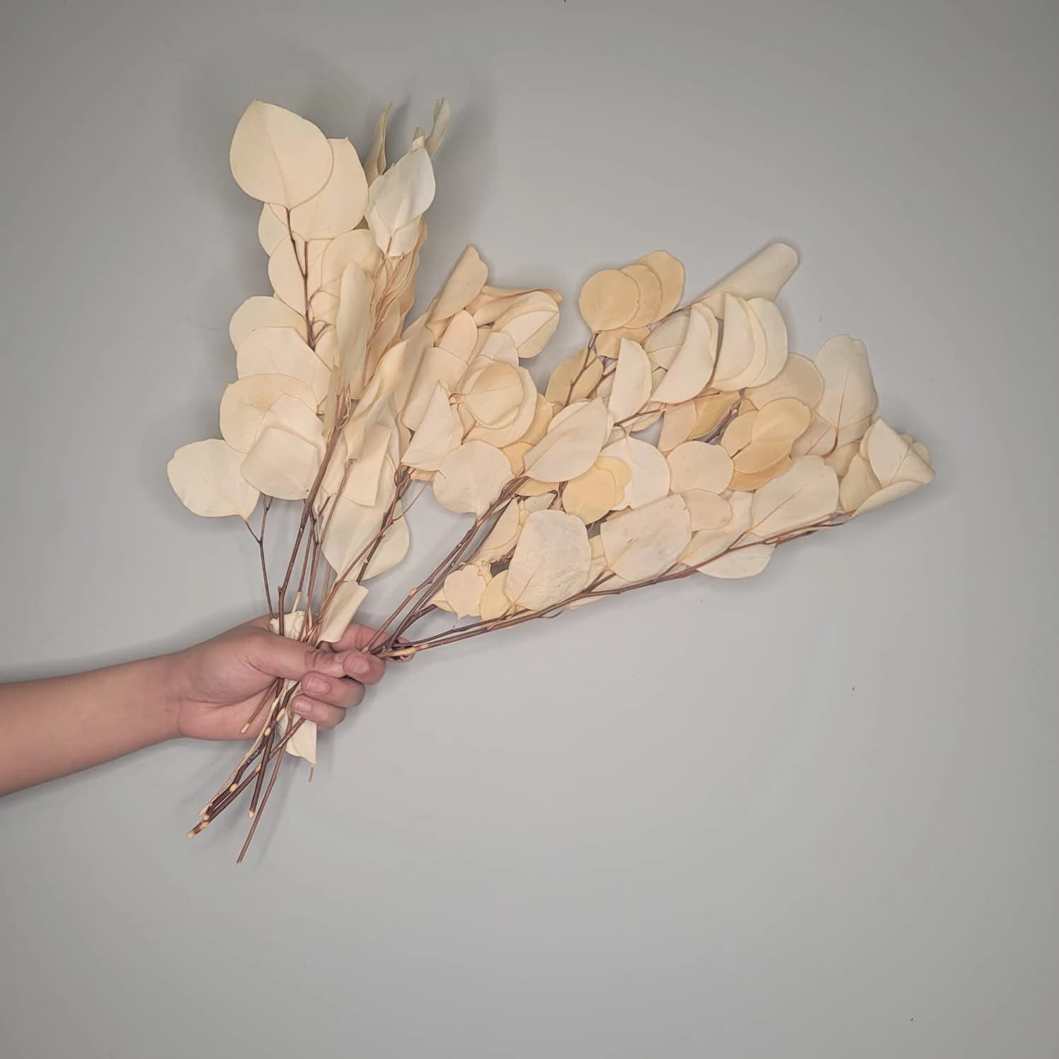 16" BLEACHED ROUND EUCALYPTUS Decor/filler decor/faux filler/Home Decor/VaseDecor/Centerpiece Decor/Faux Flower/Silk Flowers/Flower Bouquet