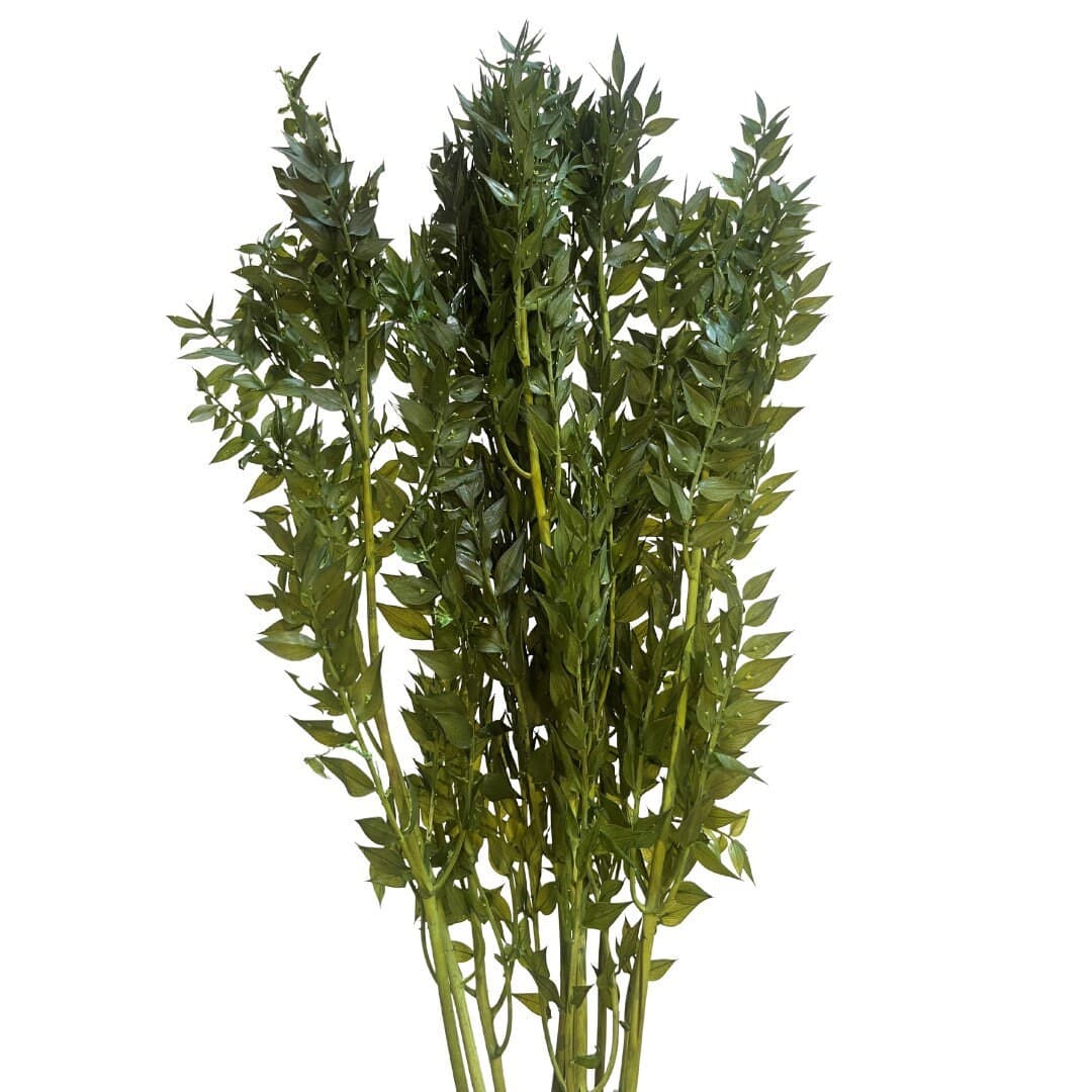 30" Green Ruscus/filler decor/faux filler/ Home Decor/VaseDecor/Centerpiece Decor/Faux Flowers/Silk Flowers/Flower Bouquet