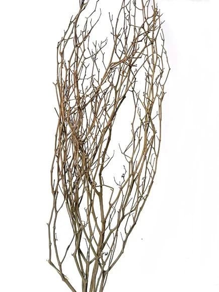 42" Natural Pepper Stick Branches/Decorative Balls/Rustic Decor/Home Decoration/Home Decor/Winter Wedding/Wedding Centrepiece
