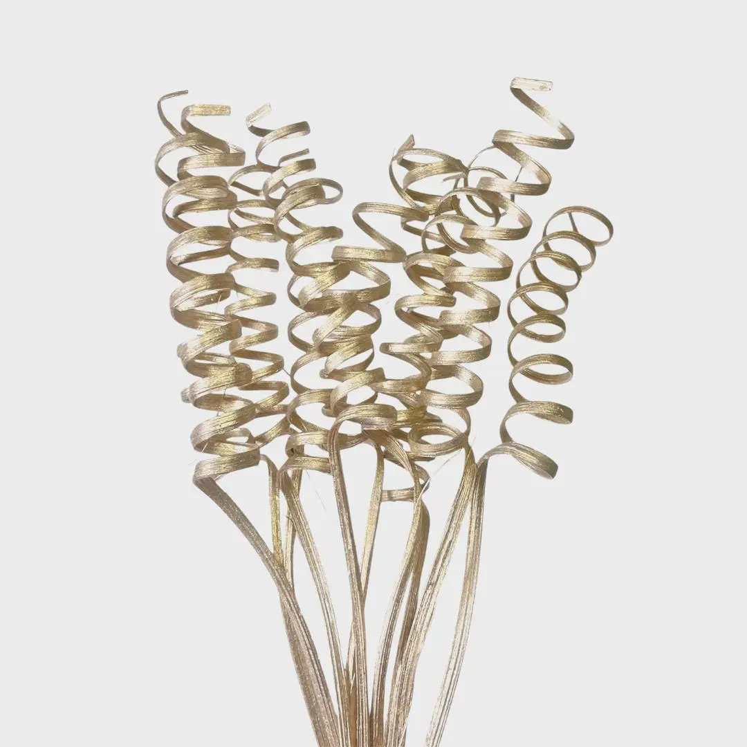 30" Champagne Cane Spring/Curly Twigs/Branches/Centerpiece decor/Decoration Branches/Gold Branches/Glitter Branches/Silver Branches