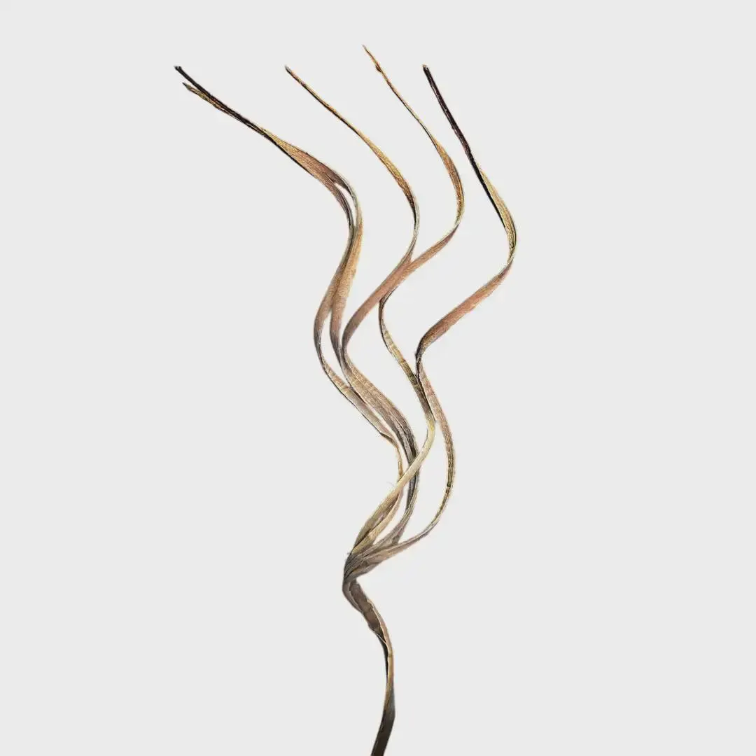 22" -10pc Natural Curly Coco Twigs/Branches/Centerpiece decor/Winter wonderland/Decoration Branches/Gold Branch/Glitter Branch/Silver Branch