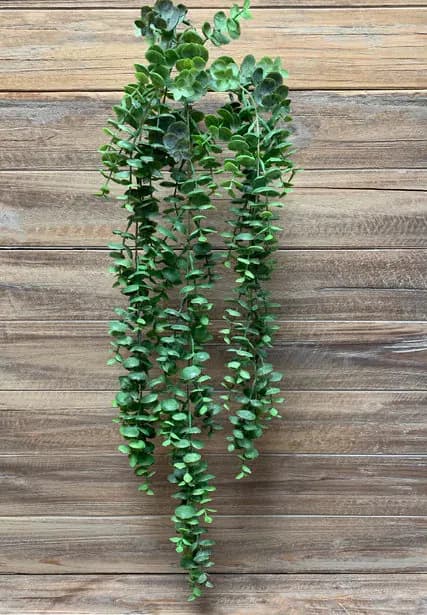 31" Eucalyptus Vine/Vines For Wedding/Greenery/Wedding Centerpieces/Home Decor/Faux Vines/Silk Vines/Garlands