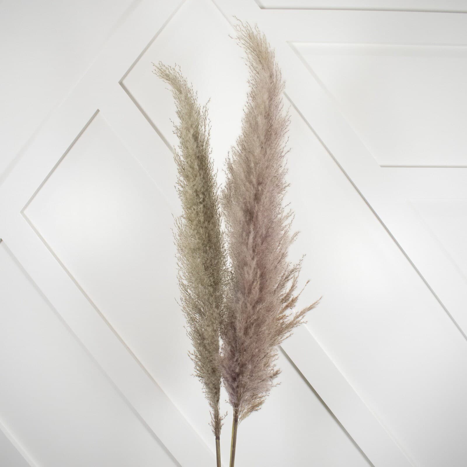 New 1 Piece Grey  Pampas Grass/Assorted Sizes/Home Decor/Rustic Wedding Decor/ Brown Pampas/ Ivory Pampas/ Natural Pampas/