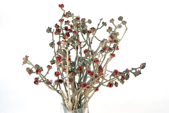 Natural Ravina Sticks/Decorative Balls/Rustic Decor/Home Decoration/Home Decor/Winter Wedding/Wedding Centrepiece